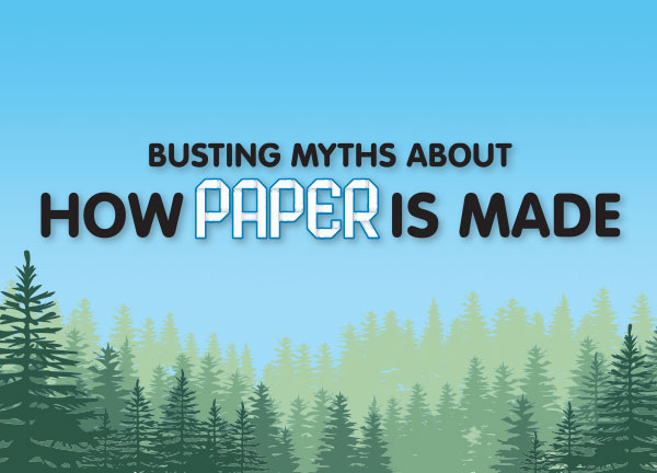 Busting Myths About How Paper is Made