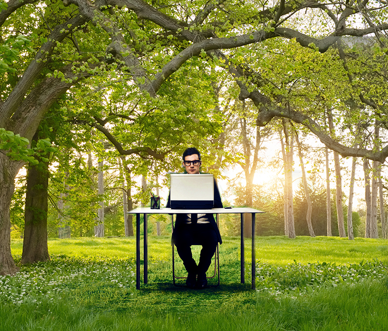 Contrary to Popular Thinking, Going Paperless Does Not “Save” Trees